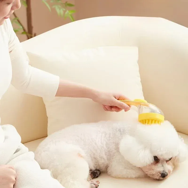 Détail de la brosse de massage pour animaux
