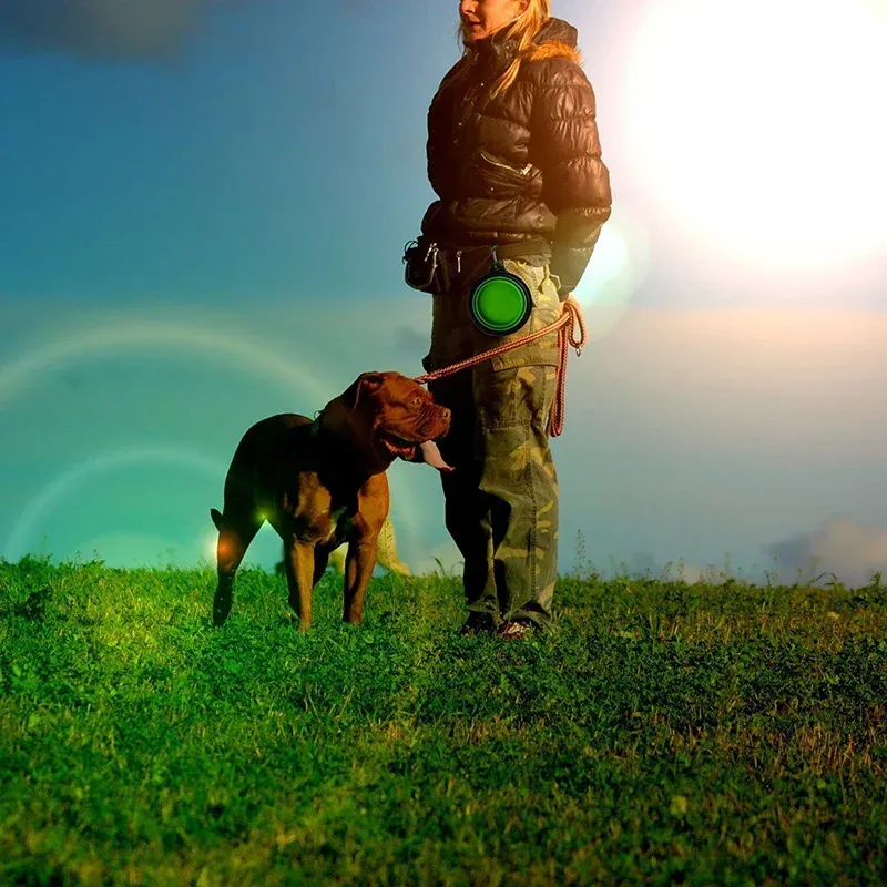 Distributeur de nourriture portable en silicone pour animaux de compagnie, bols pliables de voyage pour chiens et chats 5