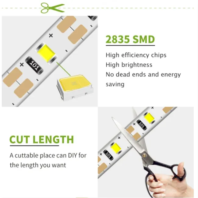 Bande LED USB 5 m 5 V SMD 3528 étanche pour plafond et armoire, disponible en blanc froid, jaune, rose, vert, bleu et rouge 2