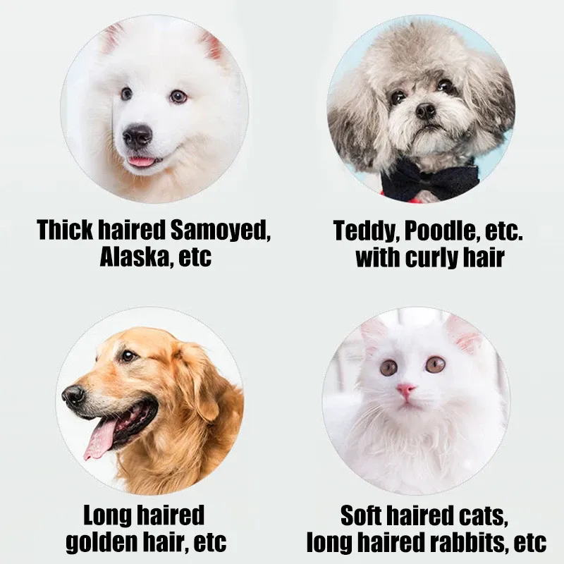 Kit de toilettage complet pour animaux de compagnie