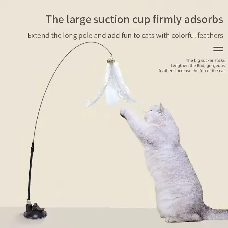 Baguette teaser interactive mains libres avec plume pour chat et chaton, à ventouse 5