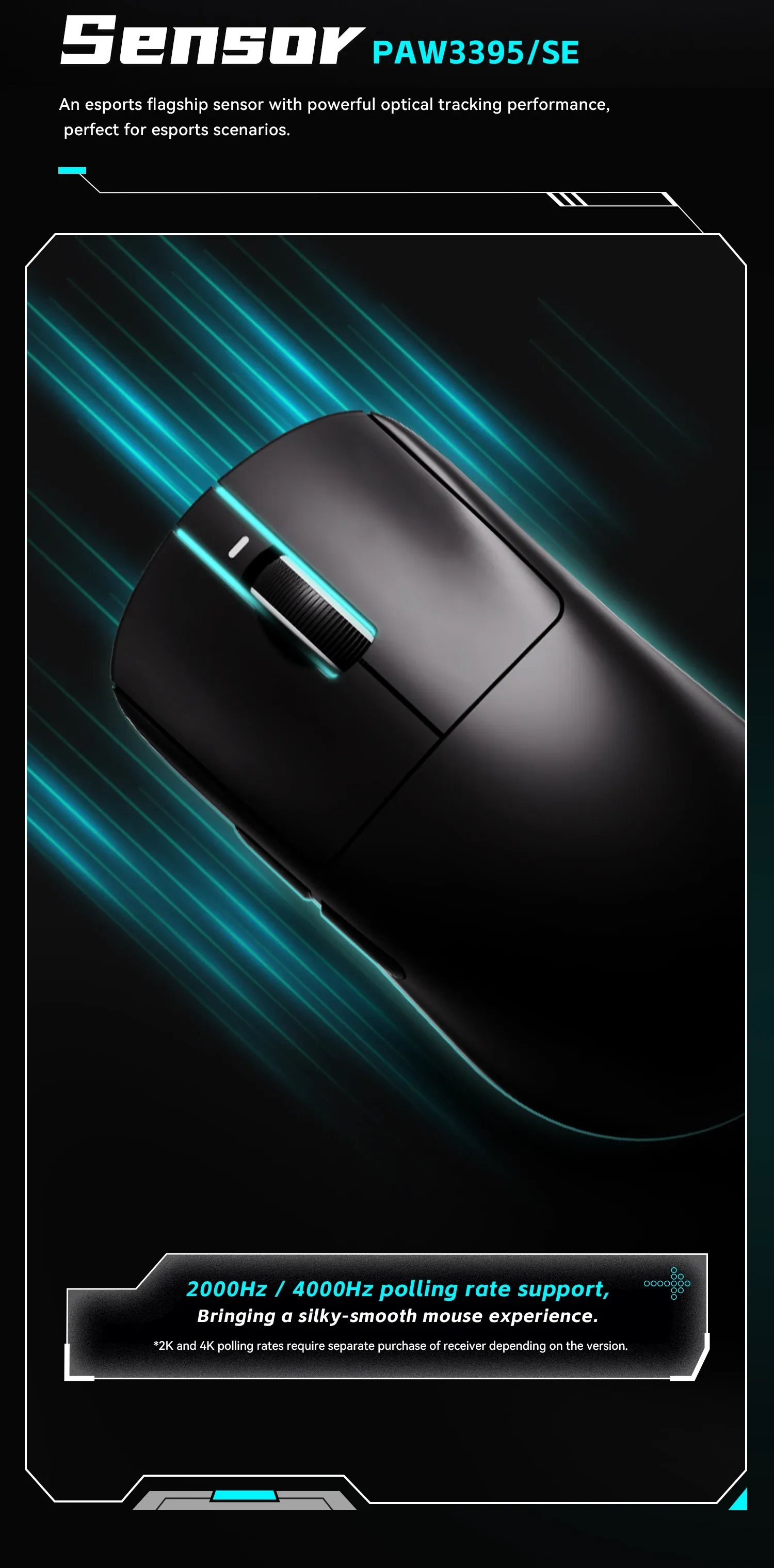 Détails de la souris VXE R1