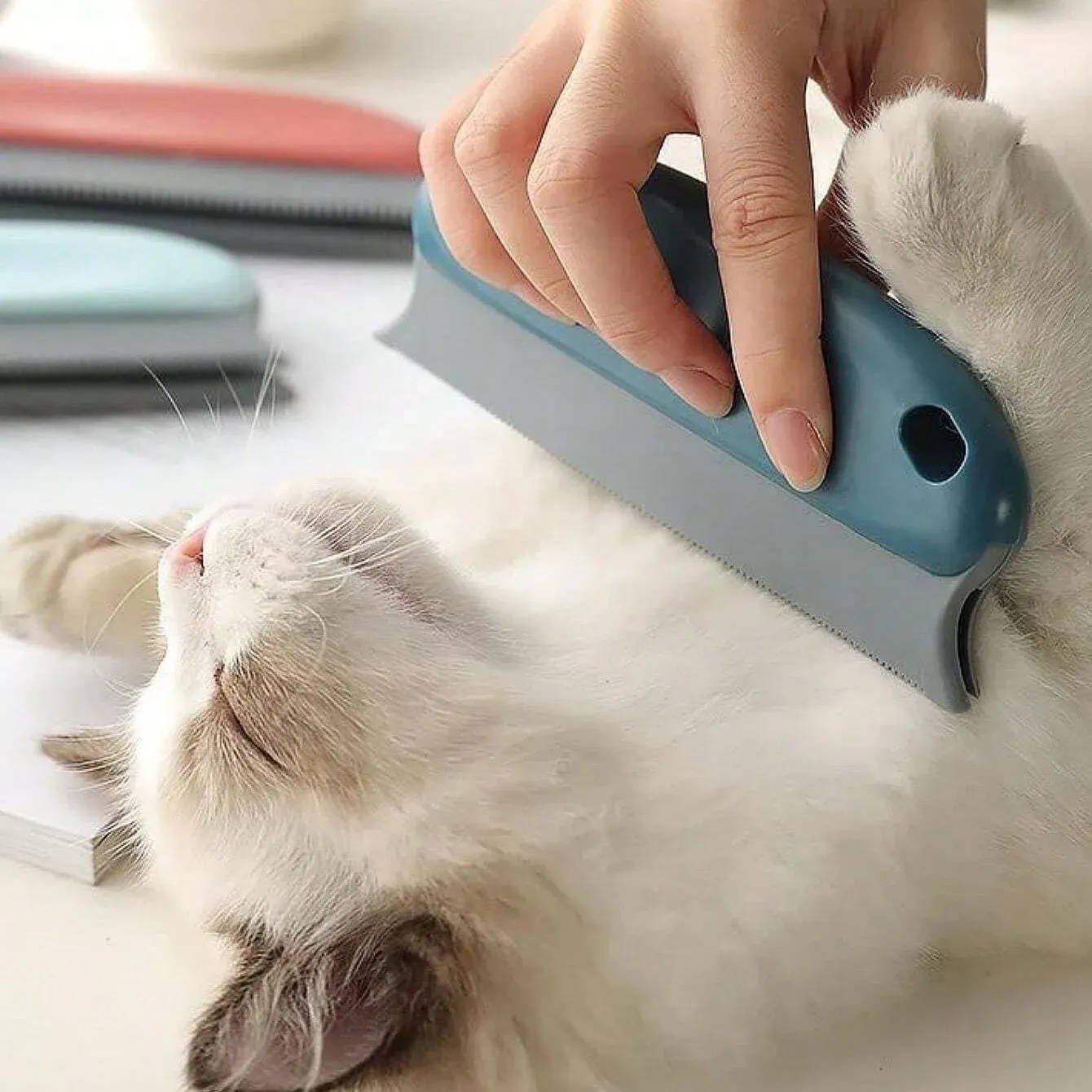 Détail de la brosse épilatrice pour chats et chiens