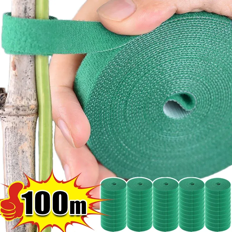 Attaches pour plantes en nylon auto-adhésives, vertes, réglables et réutilisables - Image 1