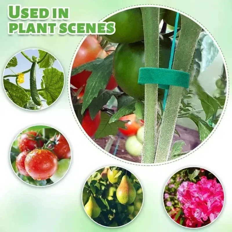 Attaches pour plantes en nylon auto-adhésives, vertes, réglables et réutilisables 4