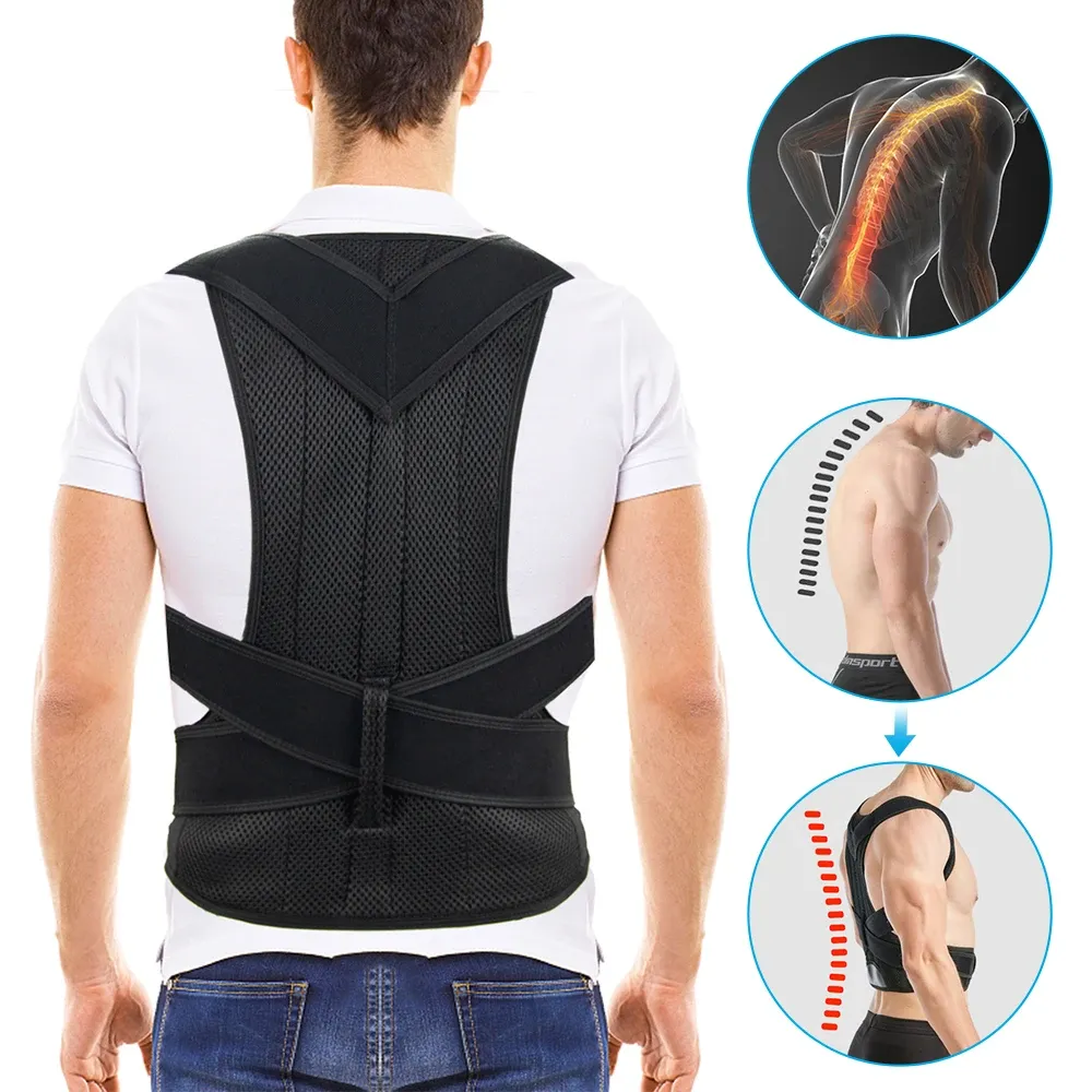 Détail du soutien dorsal et des sangles réglables