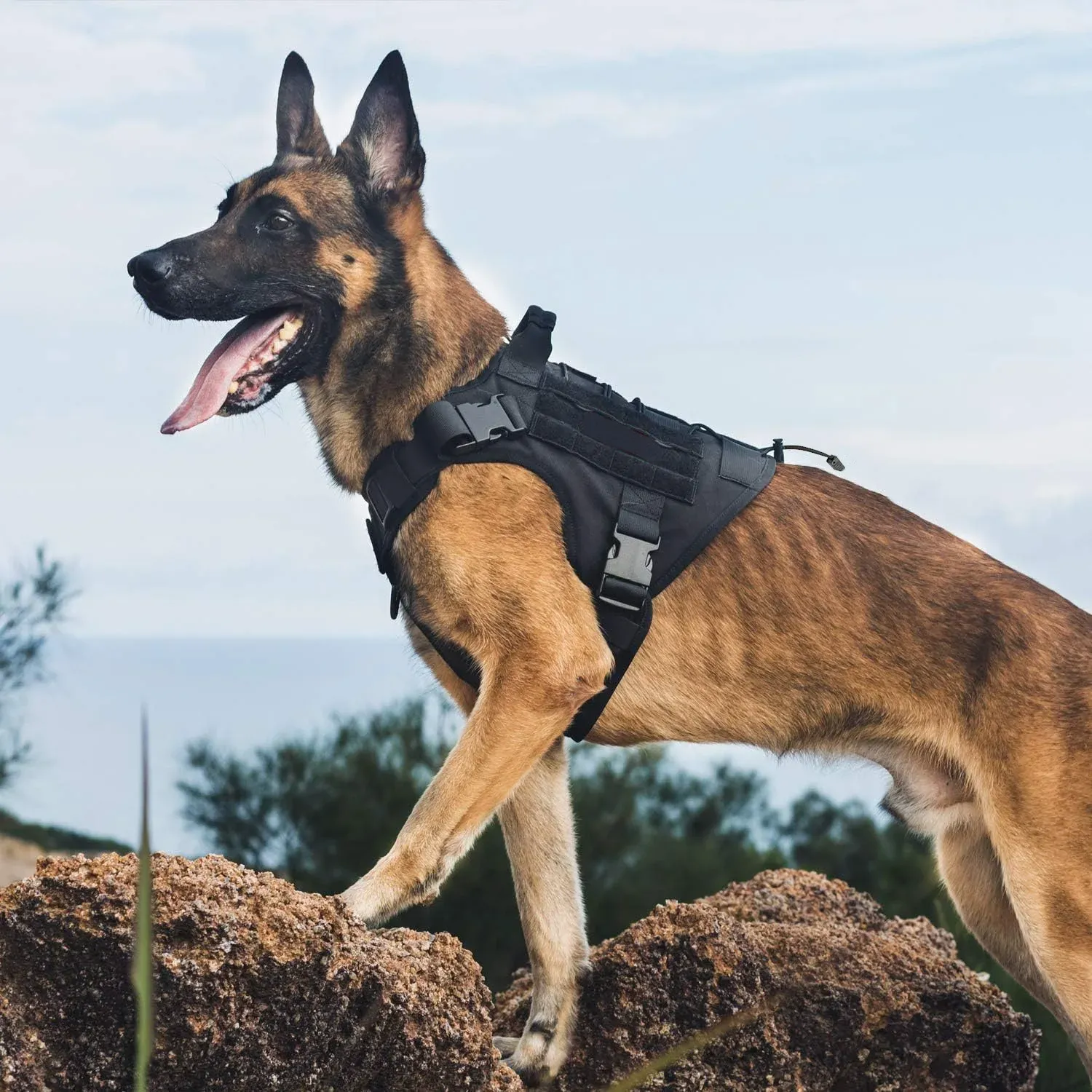 Harnais tactique pour chien avec poignée, gilet de service anti-traction à panneaux crochet et boucle, harnais réglable pour la promenade 3