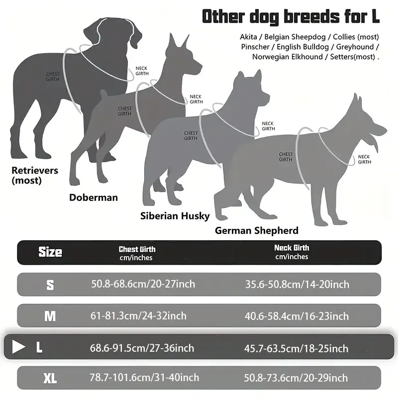 Détail du harnais tactique pour chien