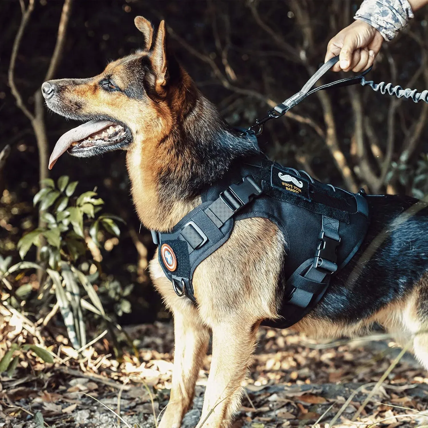 Harnais de service pour chien en extérieur