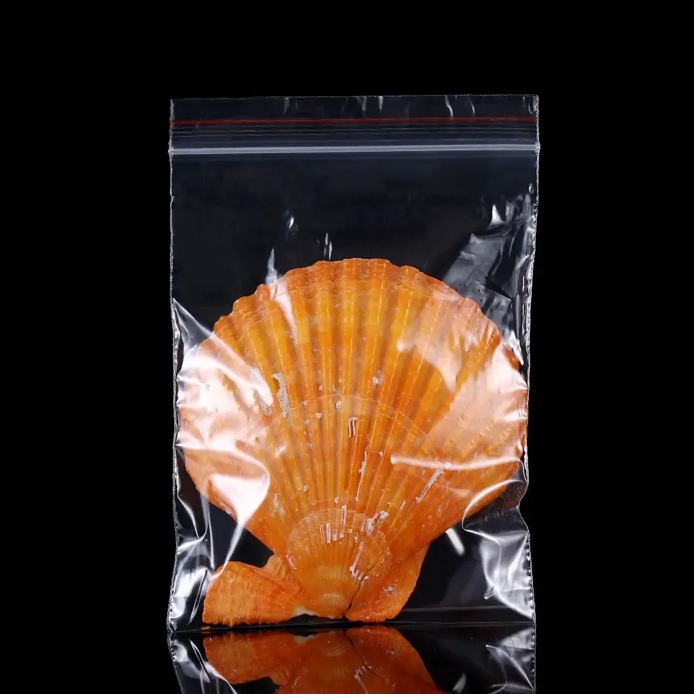 Sachets de rangement transparents avec bijoux