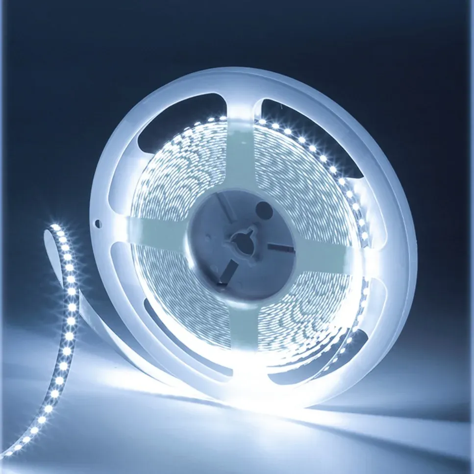 Bande LED flexible 12V/24V SMD 2835, 6000K/3000K blanc chaud, 120 LEDs/m et 240 LEDs/m, circuit imprimé 8 mm/10 mm, pour éclairage 5