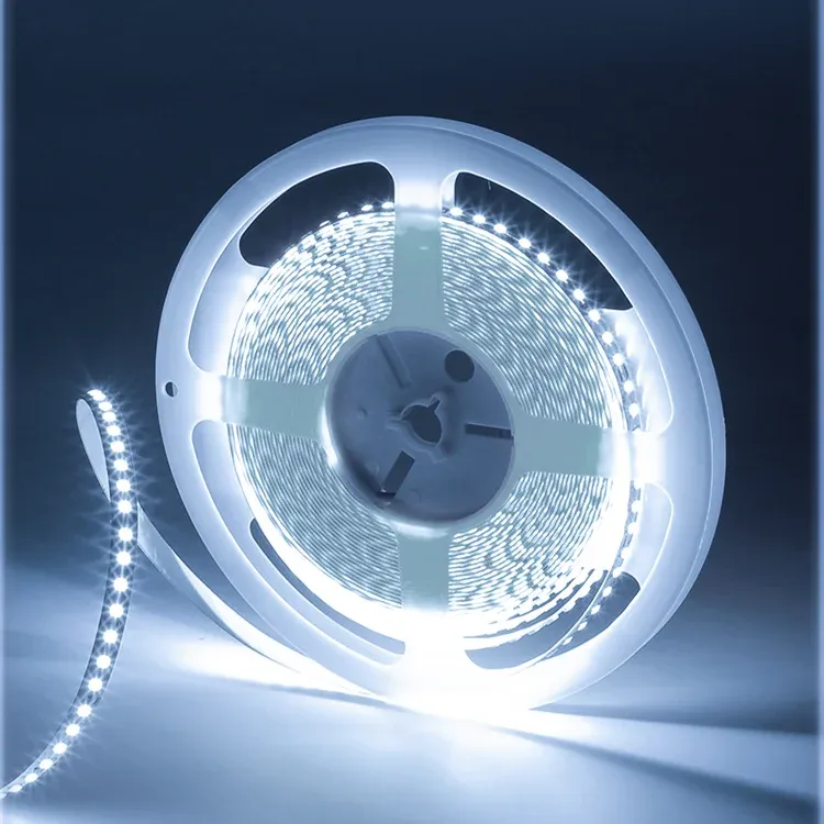 Bande LED flexible 12V/24V SMD 2835, 6000K/3000K blanc chaud, 120 LEDs/m et 240 LEDs/m, circuit imprimé 8 mm/10 mm, pour éclairage 9