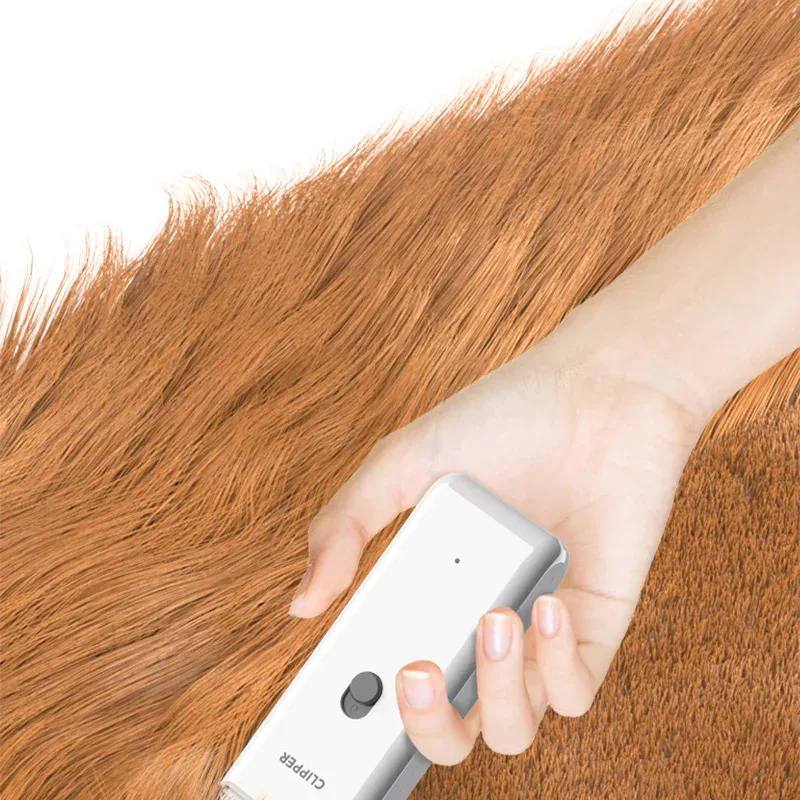 Tondeuse pour animaux, lifestyle