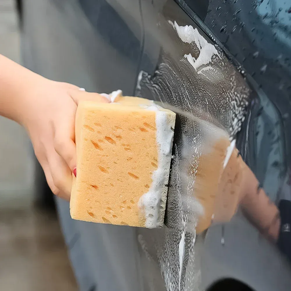 Éponge de lavage en nid d'abeille, vue détaillée