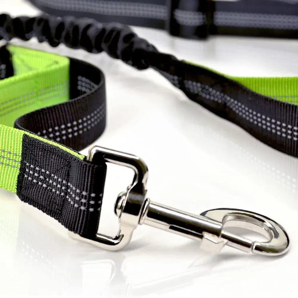Laisse rétractable pour chien en situation de promenade