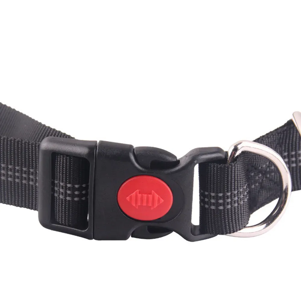 Poignée de laisse rétractable pour chien, détail du design