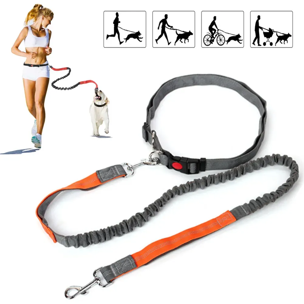 Laisse rétractable à main libre pour chien, vue d'ensemble