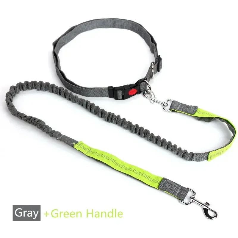Laisse rétractable pour chien à main libre avec corde réglable, idéale pour la course à pied, le jogging et le cyclisme, adaptée aux gros chiens 7