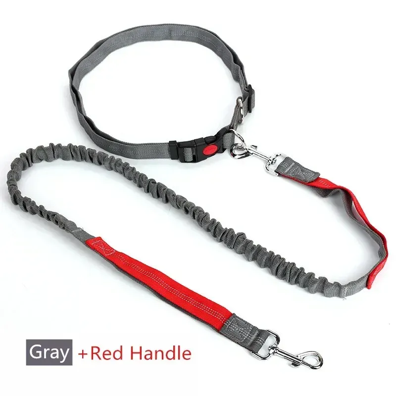 Laisse rétractable pour chien à main libre avec corde réglable, idéale pour la course à pied, le jogging et le cyclisme, adaptée aux gros chiens 8