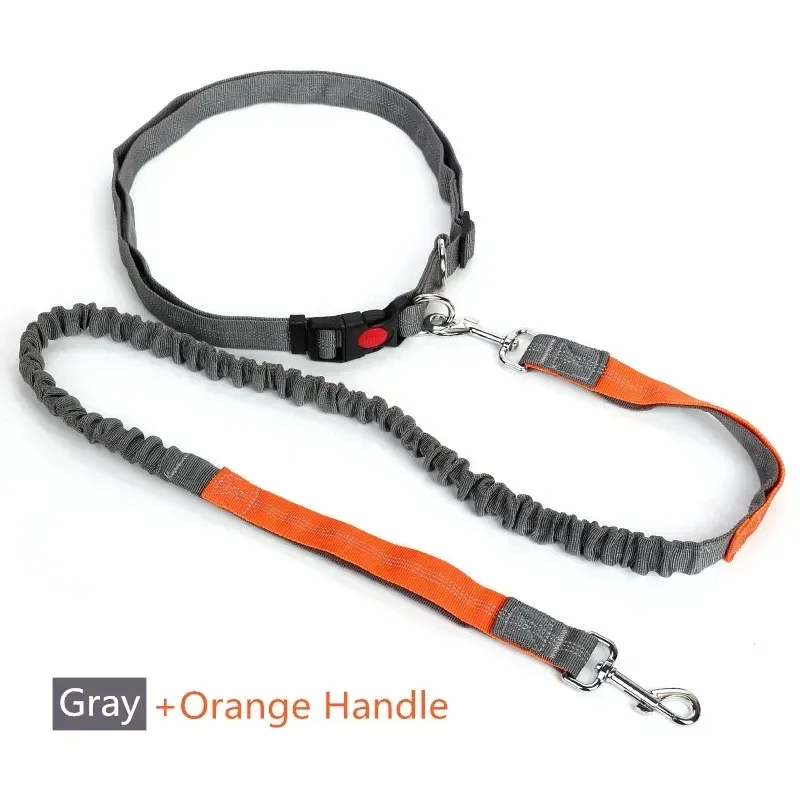 Laisse rétractable pour chien à main libre avec corde réglable, idéale pour la course à pied, le jogging et le cyclisme, adaptée aux gros chiens 9