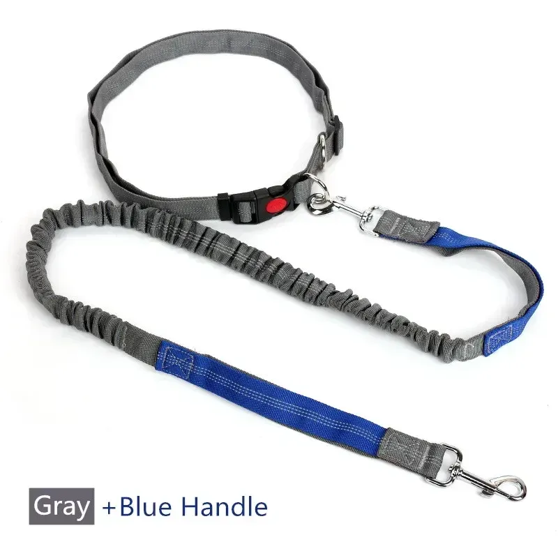 Laisse rétractable pour chien à main libre avec corde réglable, idéale pour la course à pied, le jogging et le cyclisme, adaptée aux gros chiens 10
