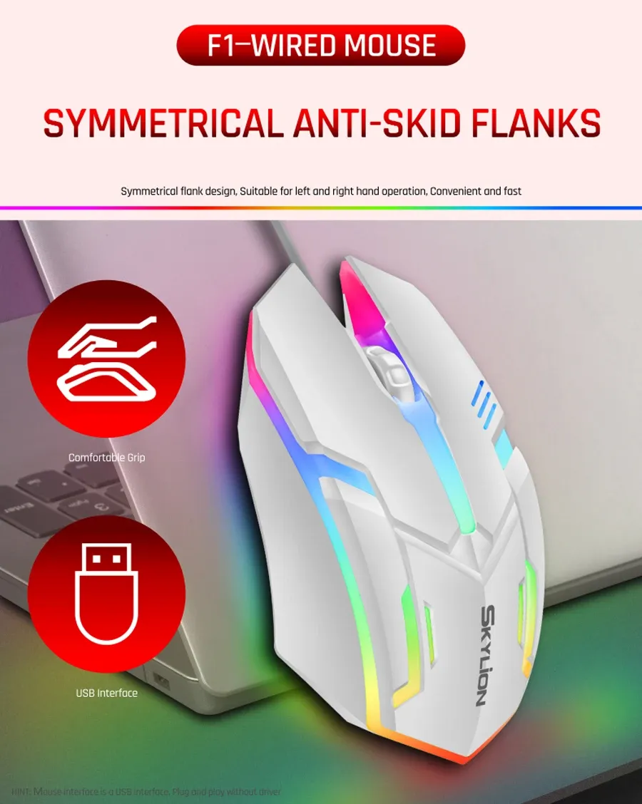 Souris F1 en situation d'utilisation