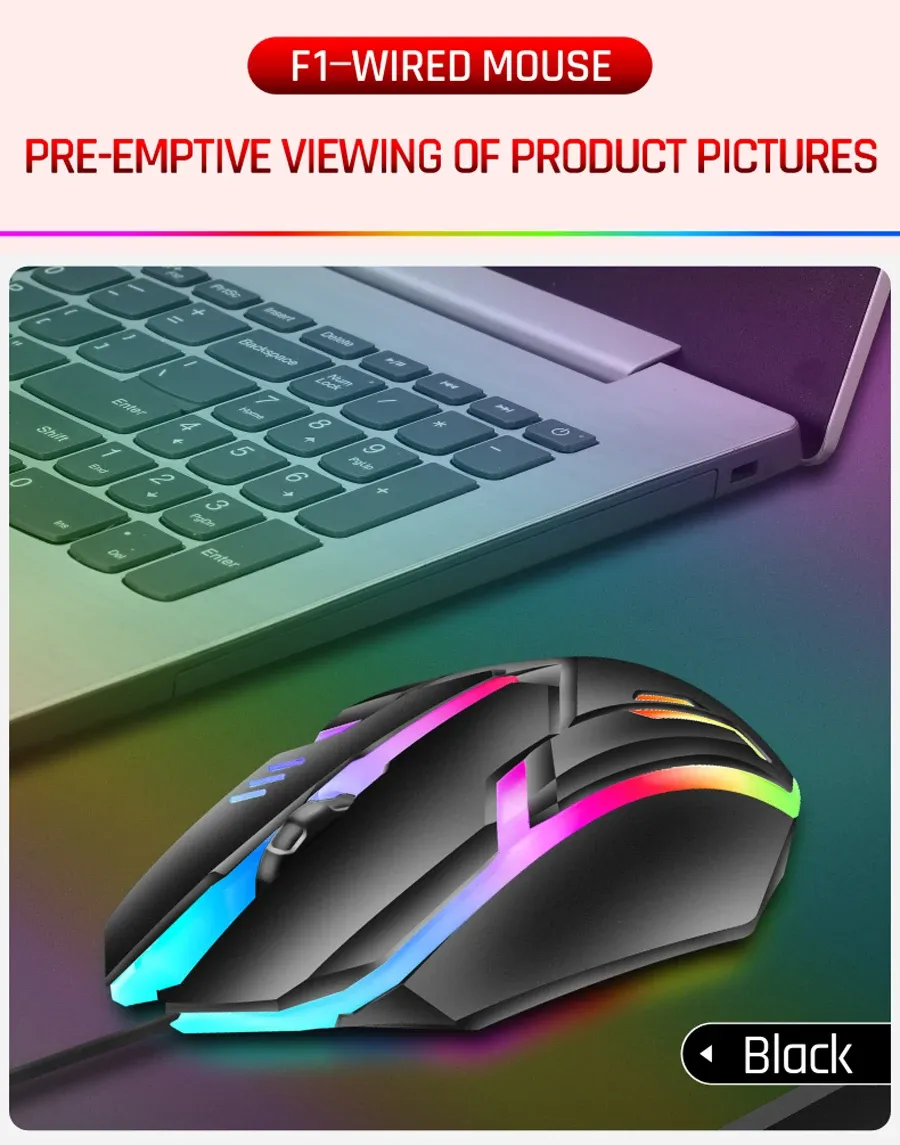 Finitions de la souris F1