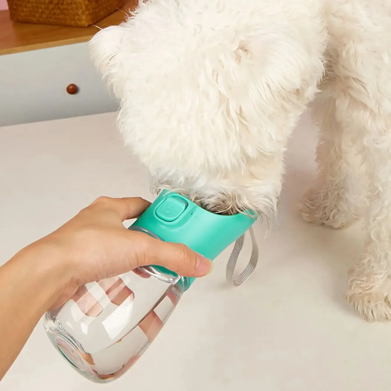 Bouteille d'eau portable pour chiens avec bol intégré, idéale pour la randonnée en plein air 5