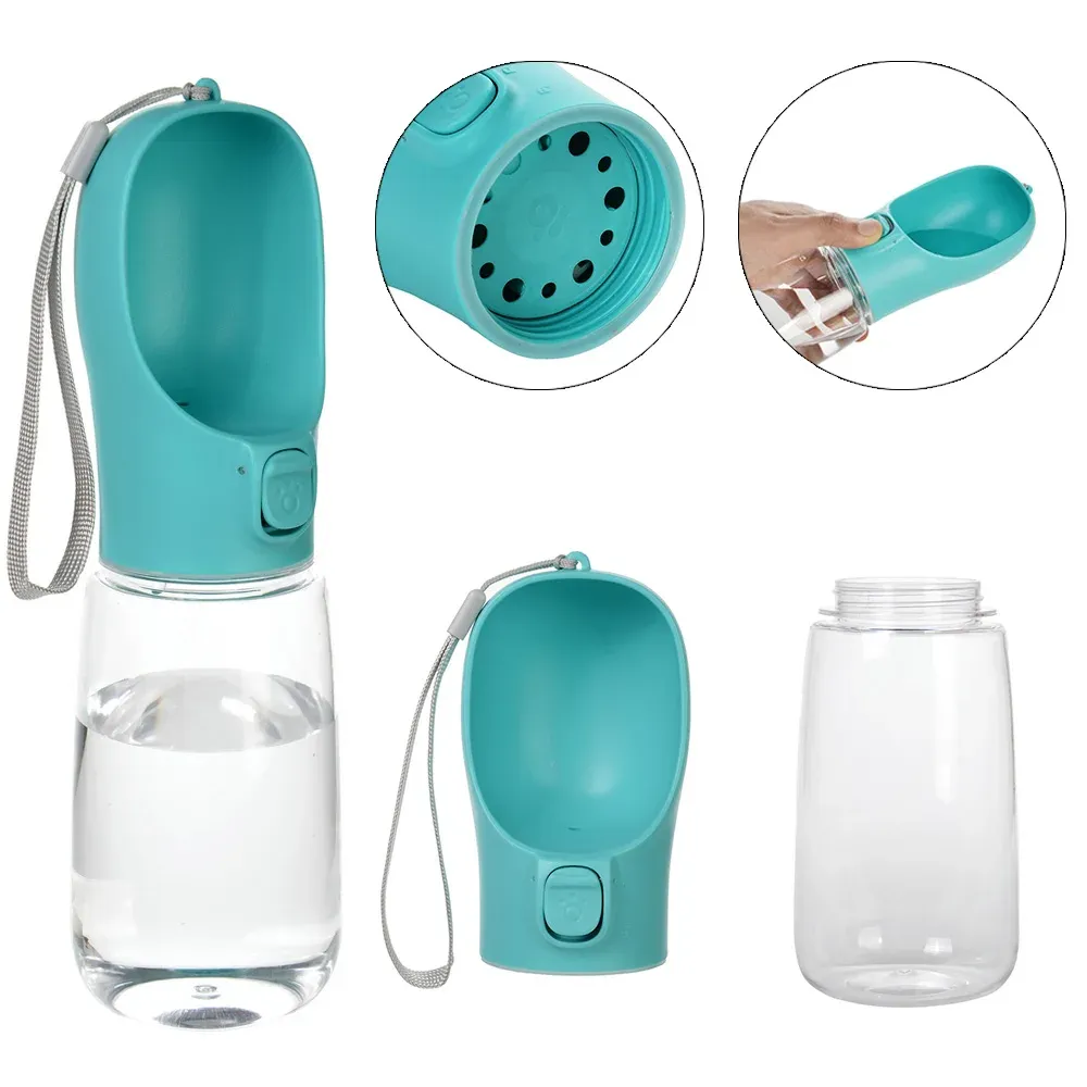 Gourde portable pour chien en situation