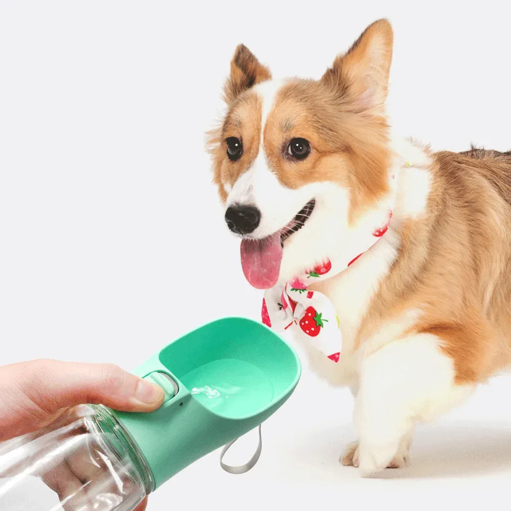 Gourde portable pour chien, pour toutes les occasions