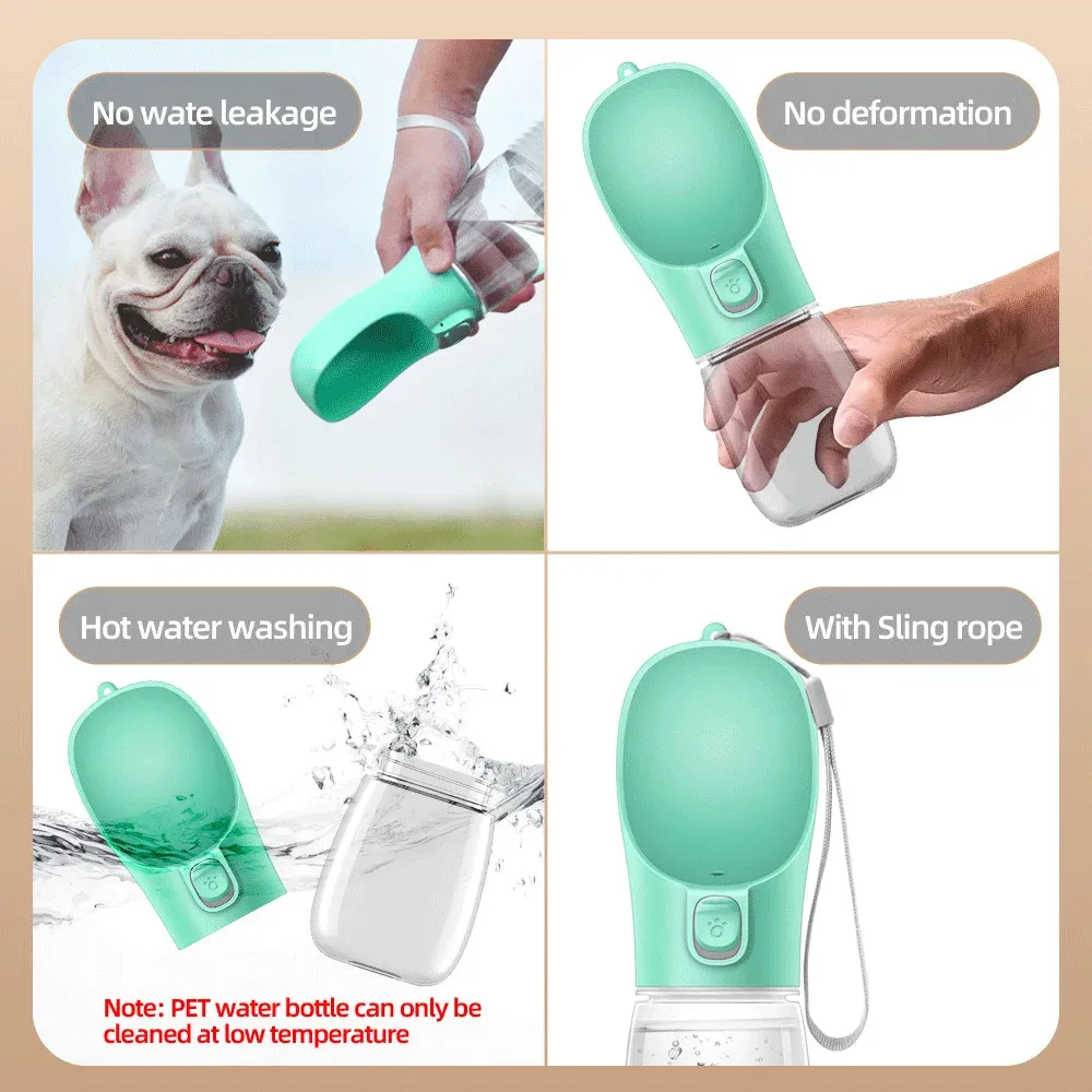 Gourde portable pour chien, esthétique épurée