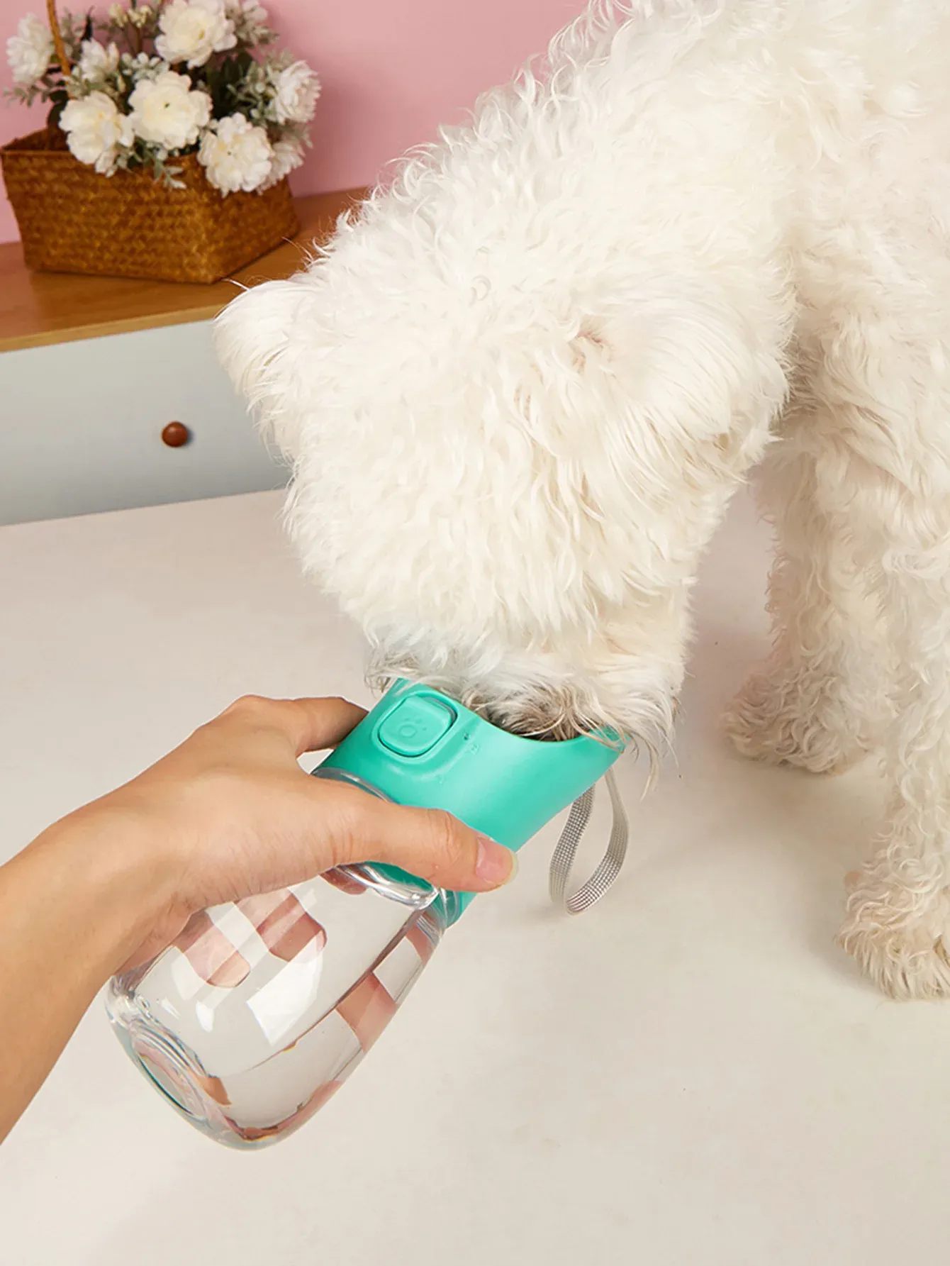 Gourde portable pour chien, vue verticale