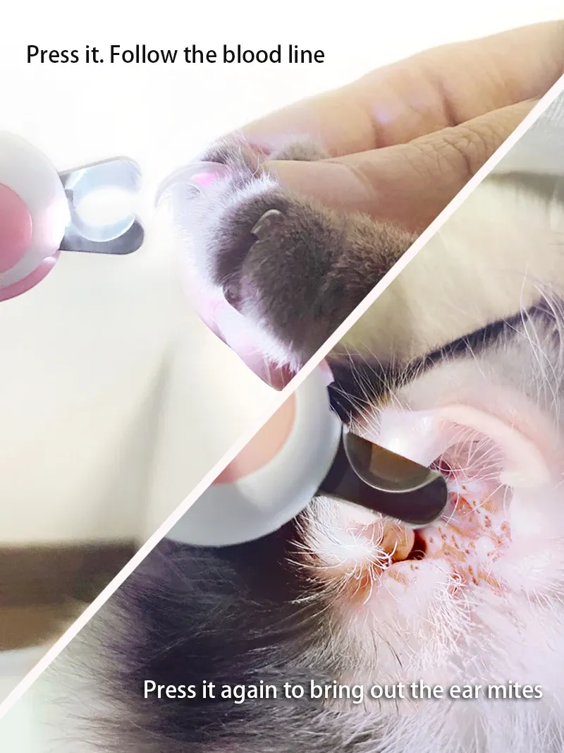 Coupe-ongles professionnel en situation