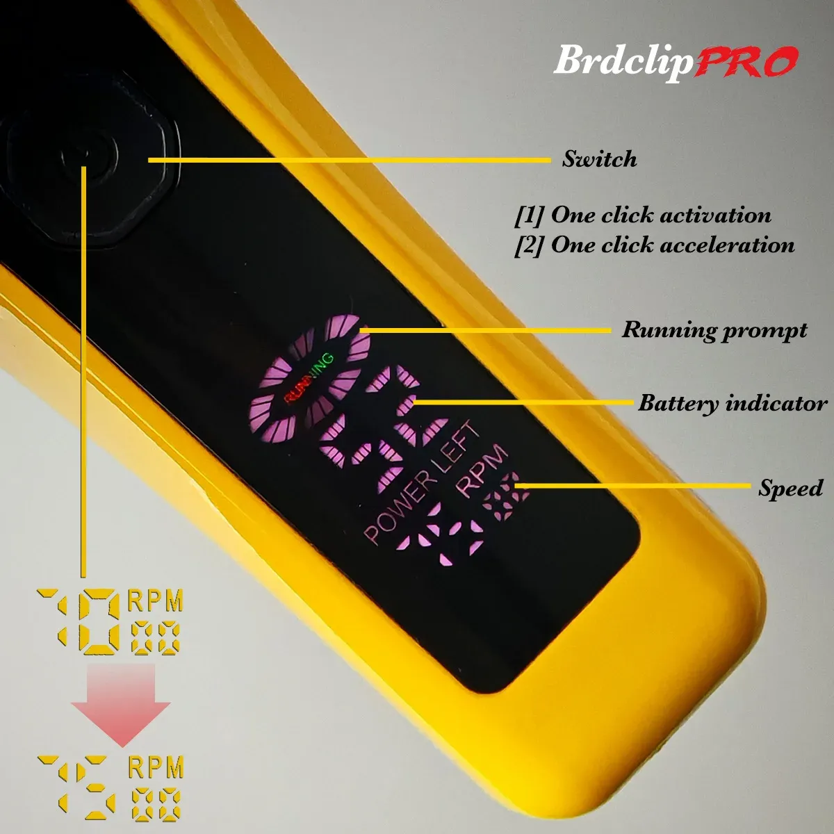 Détail de la lame de la tondeuse BRDCLIP