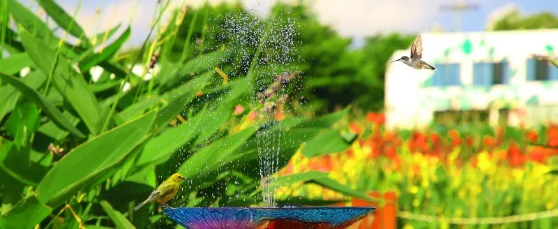 Ambiance d'un jardin avec fontaine solaire