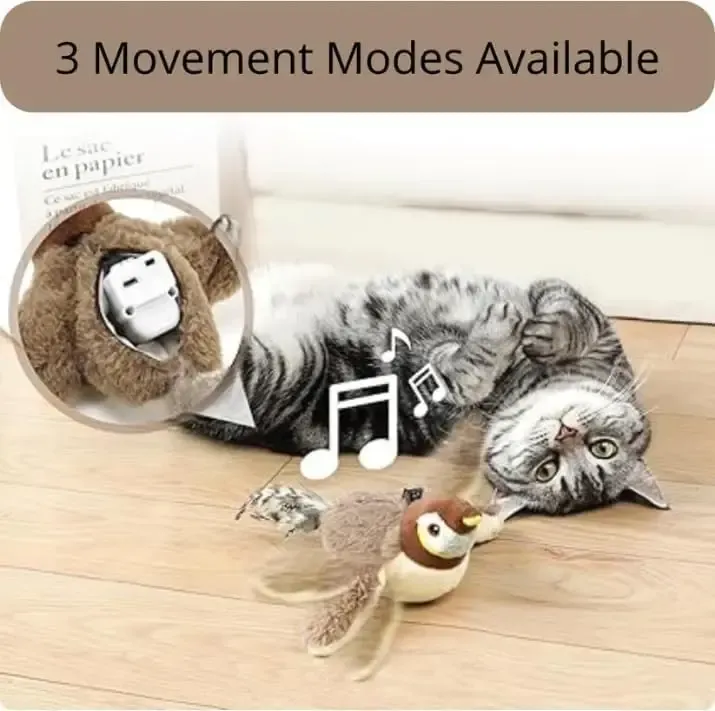 Moineau dansant pour chat, vue de face