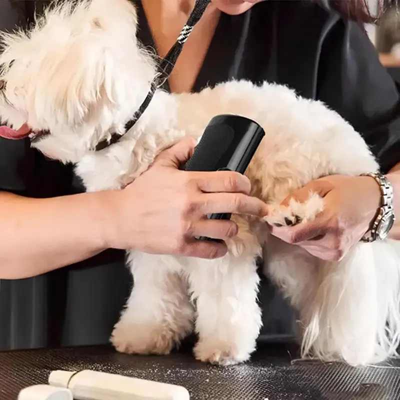 Brosse professionnelle multifonctionnelle ergonomique pour animaux de compagnie, outil de démêlage et de retrait des poils 4