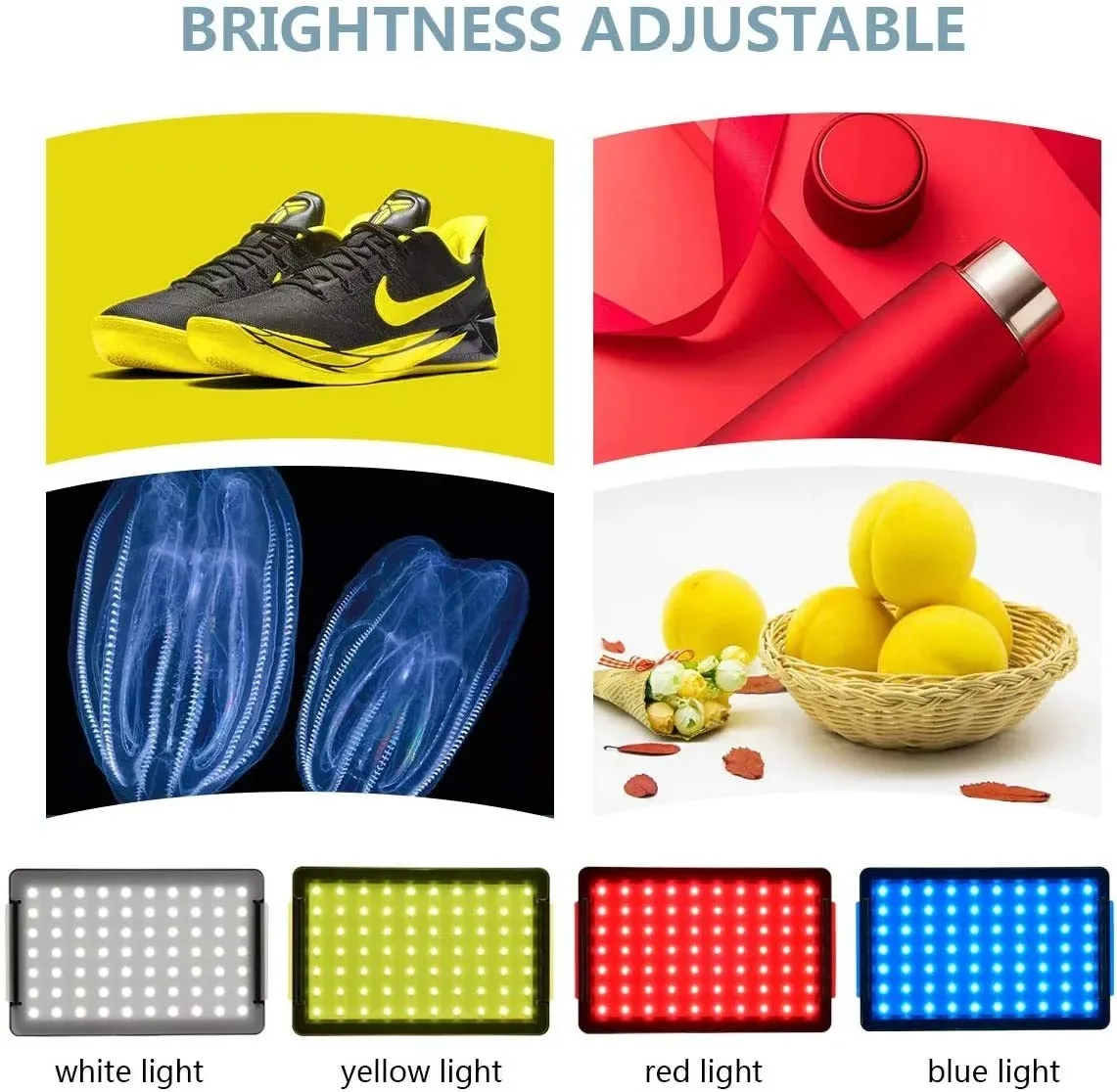 Kit d'éclairage LED vidéo avec trépied, 4 filtres RVB couleur, pour photographie, tournage et streaming en studio 2