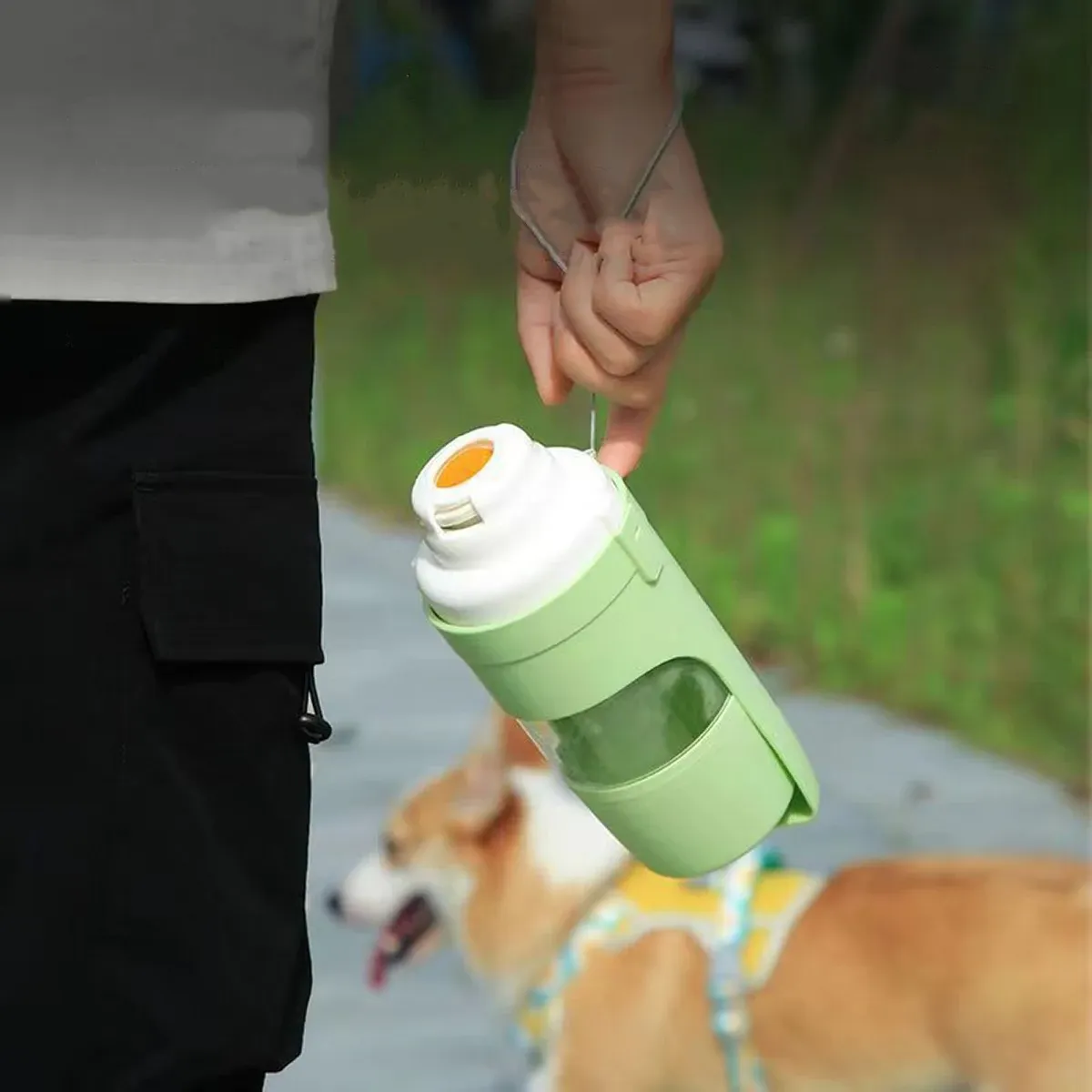 Gourde portable pour chien en balade