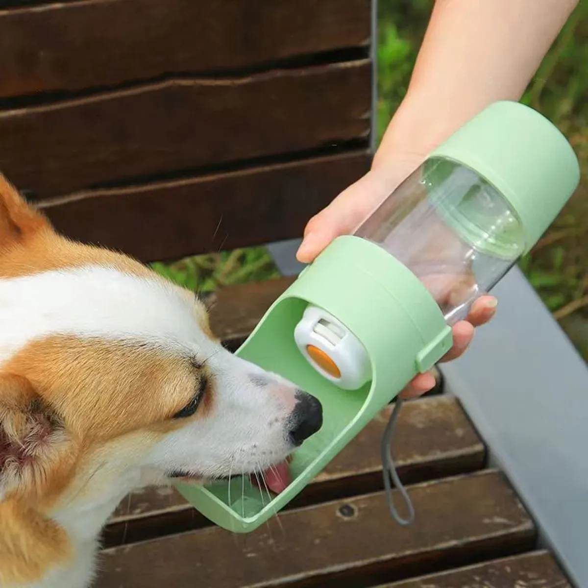 Gourde portable 2 en 1 pour animaux de compagnie