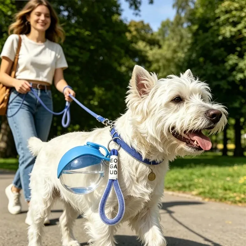 Gourde pliable pour chiens et chats avec cordon, anti-fuite et compacte, idéale pour les voyages 2