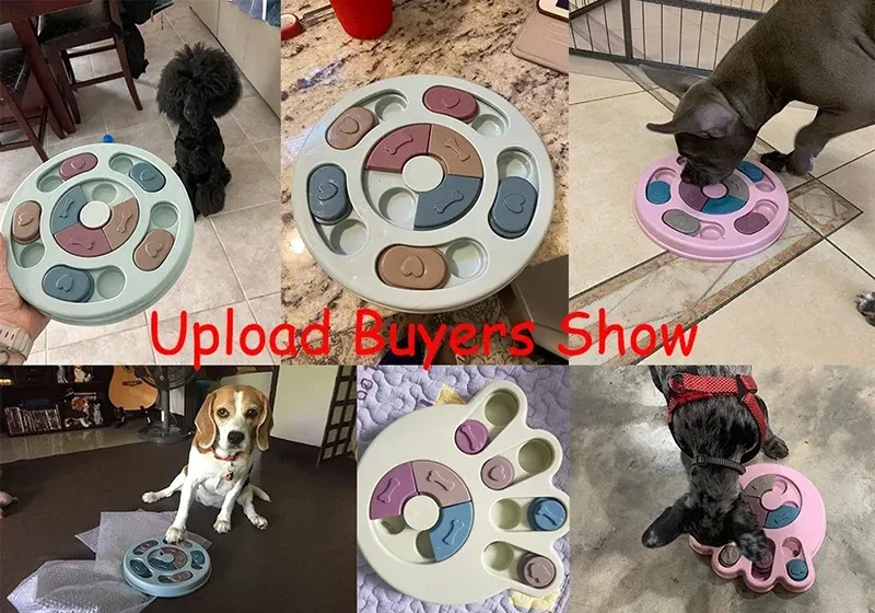 Jouet puzzle en situation d'utilisation par un chien