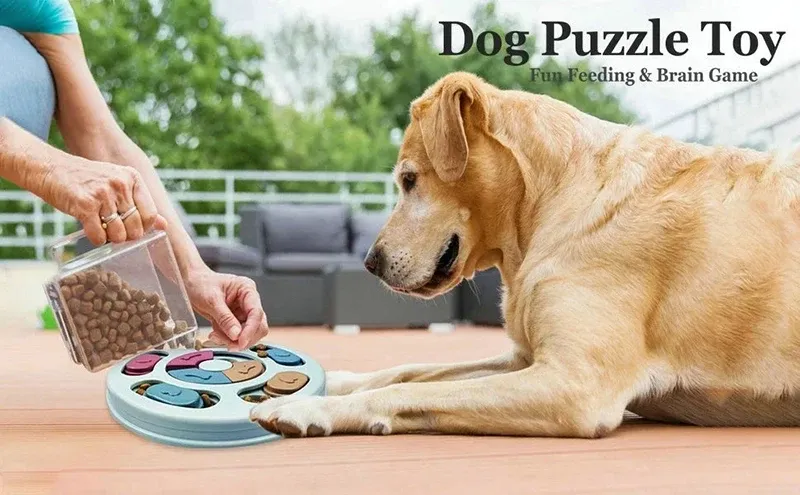 Détail des compartiments du jouet puzzle