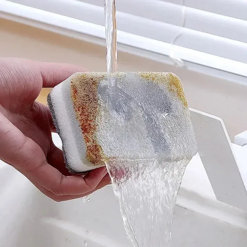 Détail de la texture de l'éponge