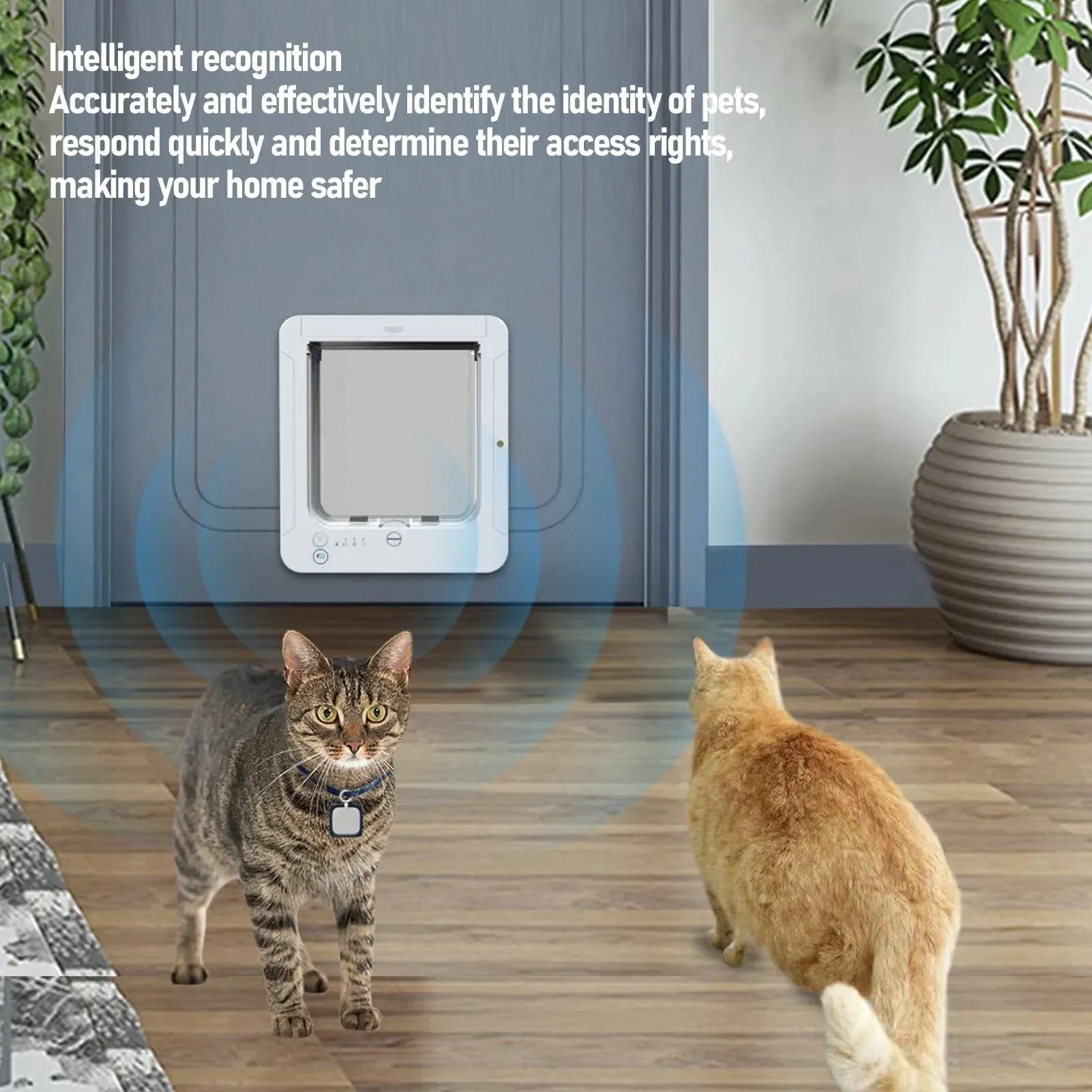 Porte intelligente pour chat à détection automatique par collier, installation facile 3