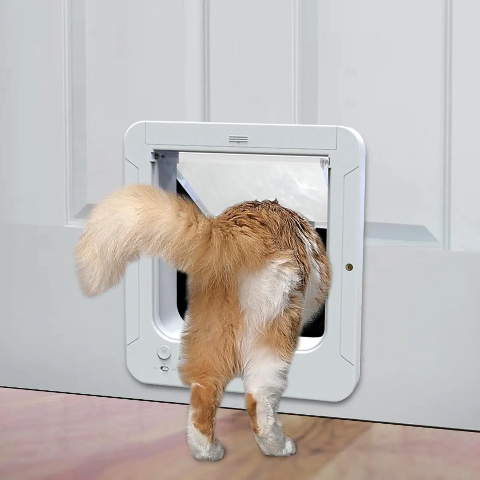 Porte intelligente pour chat à détection automatique par collier, installation facile 2