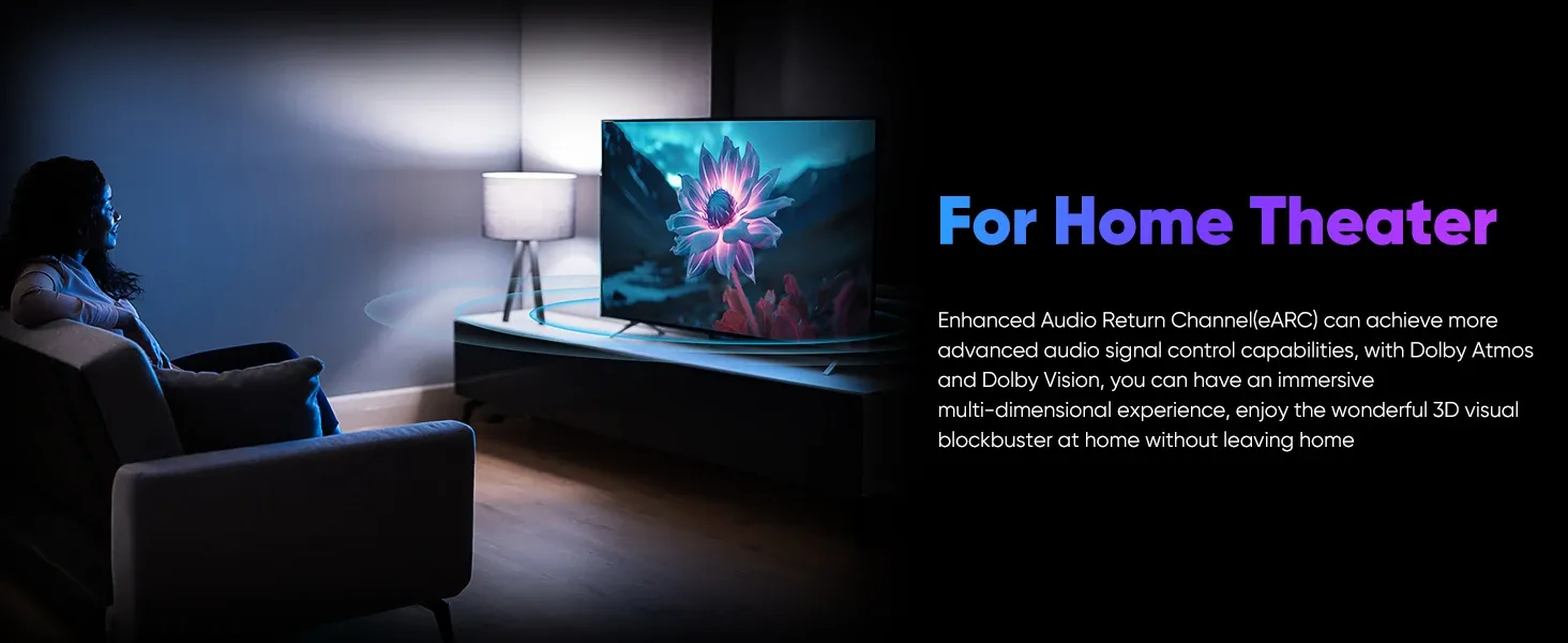 Câble HDMI MIZIQIER, détail