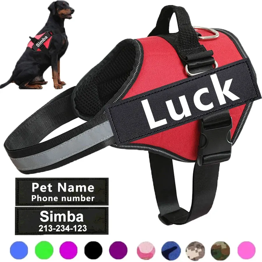Patch personnalisé réglable et respirant pour chien, idéal pour la promenade en plein air - Image 1