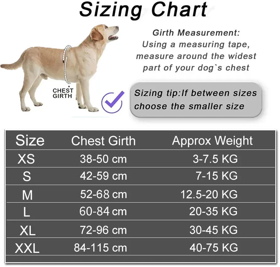 Patch personnalisé réglable et respirant pour chien, idéal pour la promenade en plein air 6