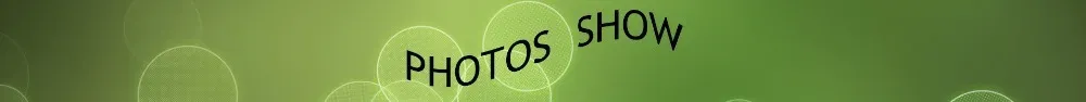 Détail de la brosse et de ses fonctions